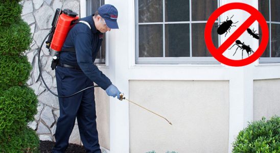 Zonguldak Kene İlaçlama böcek ilaçlama ve haşere kontrolü — ilaclama-tr.com